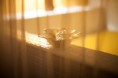 /album/gabinete-zen/img-0174-jpg/